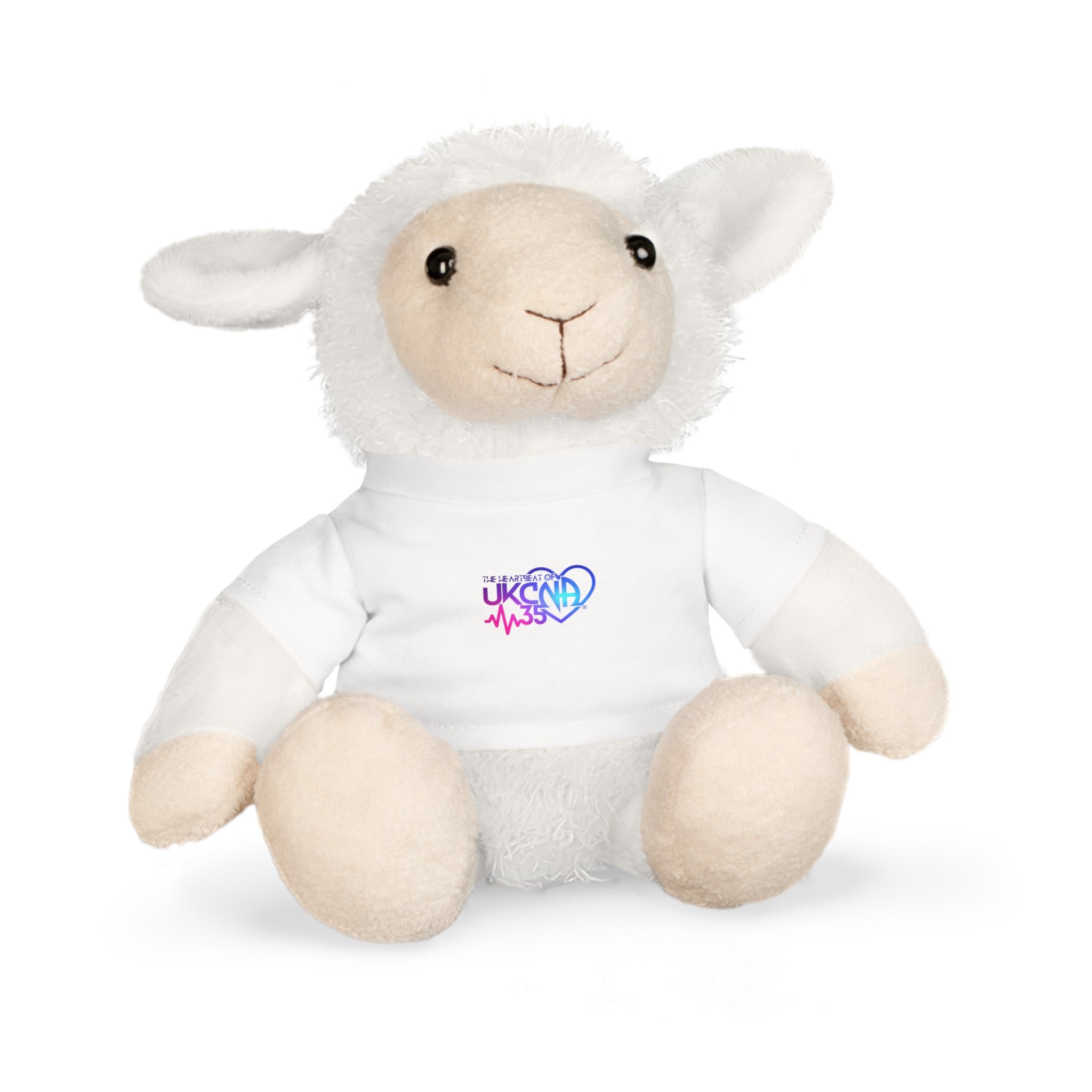 Plush Toy with T-Shirt